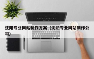 老河口沈阳专业网站制作方案（沈阳专业网站制作公司）